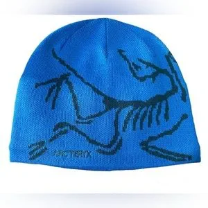 Arc'teryx | Accessories | Arcteryx Bird Head Toque Beanie